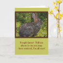 Search for bunny cards Cute bunny rabbit