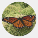 Search for beauty in nature stickers Photography