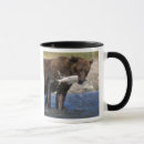 Search for fishing bear mugs Wildlife