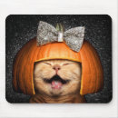 Search for pumpkin cat electronics Funny