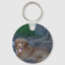 Search for retrieve keychains Water