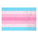 Search for transgender pride flag posters Symbol