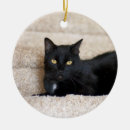 Search for furry ornaments Black