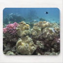 Search for scuba diving mousepads Sea