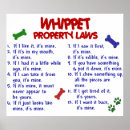 Search for whippet dog posters Funny