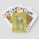 Search for sheep playing cards Livestock