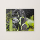 Search for rainforest puzzles National park