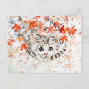 Recherche de curieux cartes postales Pour elle