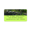 Search for rowing return address labels Photography