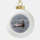 Search for pelican ornaments Bird
