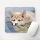Search for the yard mousepads Pet