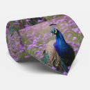 Search for regale ties Peacock