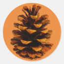 Search for pinecone stickers Brown