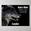 Search for alpha wolf posters Nature