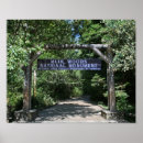 Search for muir woods posters Landscape