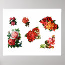 Search for rose bloom posters Flowers