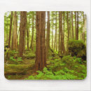 Search for cedar mousepads Forest