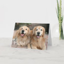 Recherche de briques vœux cartes Dog