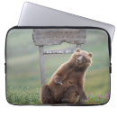 Recherche de ursus coques Animal