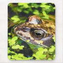 Recherche de frog tapis souris Animal