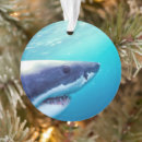 Search for jaws ornaments Underwater