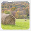 Search for hay bale stickers Farm