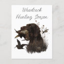 Recherche de poils cartes postales Chien de chasse