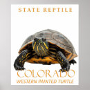 Search for colorado posters National park