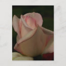 Search for intensive postcards Nature
