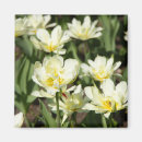 Search for painted image magnets Flowers