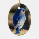 Search for bluebird ornaments Birds