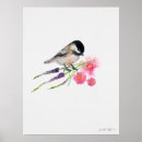 Search for capped chickadee posters Nature