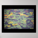 Recherche de nénuphar posters Nature