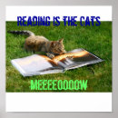 Search for cat reading posters Cute