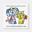 Search for spayed magnets Dog