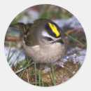 Search for feed the animals stickers Bird