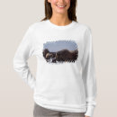 Search for north slope clothing Snow