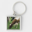 Search for herd keychains Agriculture