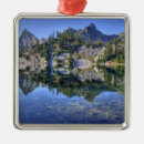 Search for wilderness ornaments Alpine