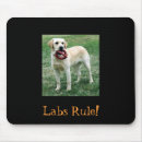 Search for yellow lab puppy electronics Retriever