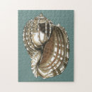 Search for nautical puzzles Conch seashell