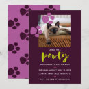 Recherche de chats et chatons invitations Fête de chat