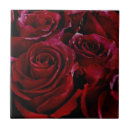 Recherche de macro rose carreaux Nature