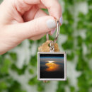 Recherche de terre neuve porteclés Espace