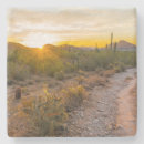 Search for trail coasters Desert