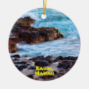 Search for kauai ornaments Tropical