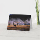 Search for a basin cards Nature