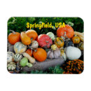 Search for fall pumpkin magnets Bounty
