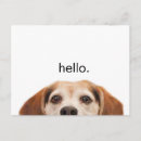 Recherche de drôle d humour de bonjour cartes postales Animal