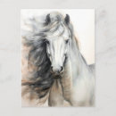 Recherche de le cheval blanc cartes postales Pour tous